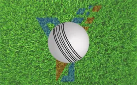 Cricket Accessories : Cricket T20 White Leather Ball